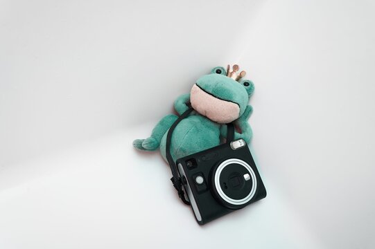 Cute plush frog wearing a crown, chilling with an instant camera on a clean white background