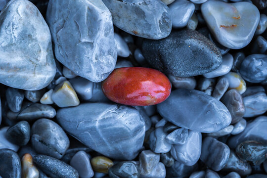 Smooth pebbles with a striking red stone among gray