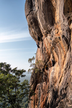 Sigiriya rock face with natural wasp nests