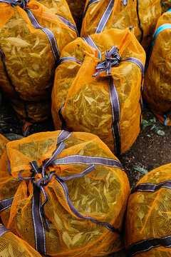 Tea leaves in orange mesh bags on the ground
