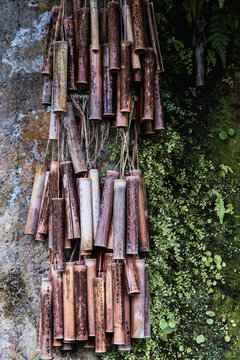 Bamboo prayer scrolls in Taiwan on moss-covered wall