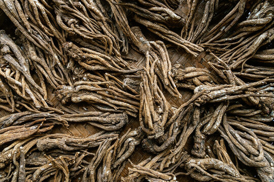 Dried roots arranged on woven bamboo mat