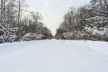 A snowy road bordered by trees on both sides, covered in snow, extending into the distance, laid out in the winter's cold air