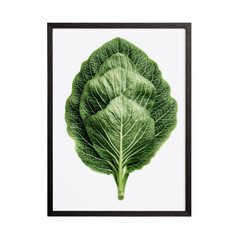 Green Leafy Vegetable in Modern Black Frame with Crisp White Background and Soft Natural Lighting for Kitchen Decor