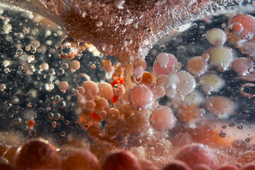 Abstract bubbles immersed in color