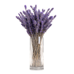 Lavender flowers in clear glass vase with purple blooms in soft natural lighting for home decor