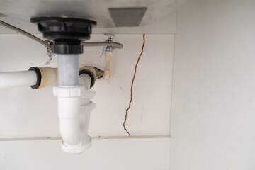 Termite infestation inside a house. Pest control.