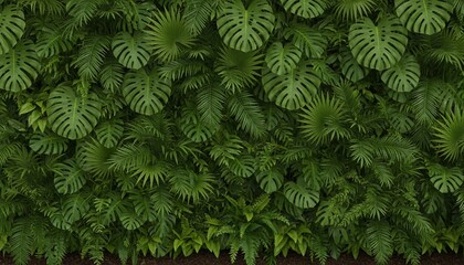 Lush wall of varied tropical foliage, with prominent Monstera leaves and diverse textures