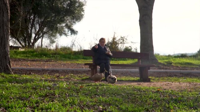 A grandmother feeds the ducks while sitting on a park bench.