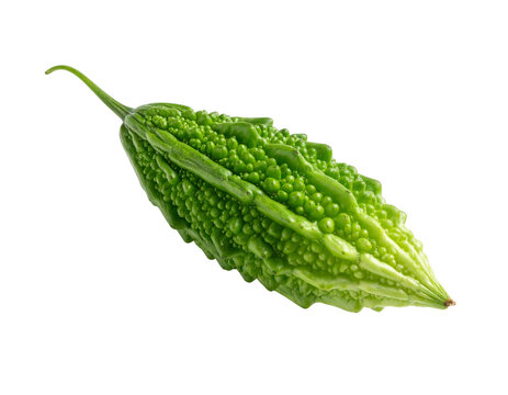 Bitter melon karela isolated on transparent background