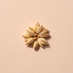 Star anise spice on beige background for culinary use