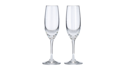 Pair of elegant champagne flutes