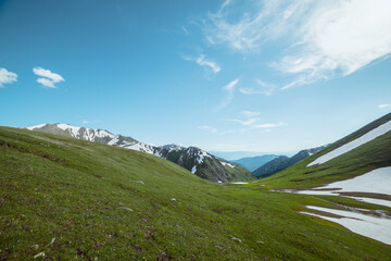 Flowering grassy hilly meadow in bright sun with view to alpine valley between green hills and sharp rocks with snows against large mountain silhouettes far away under clouds in blue sky in sunny day.