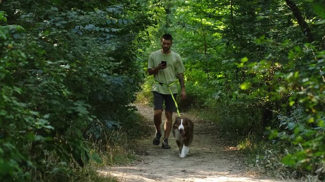 A man walks along a forest path with his Australian Shepherd dog while speaking on the phone. Multitasking, everyday communication, and a relaxed outdoor routine
