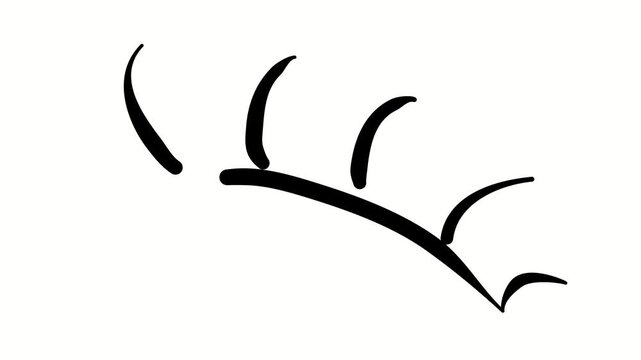 Eyelashes, cosmetics. Contour drawing, silhouett animation. Video 4k object illustration self-drawing. Minimalist continuous line drawing silhouette on a white background new