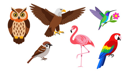 Obraz premium Colorful illustration of various birds on including owl and flamingo