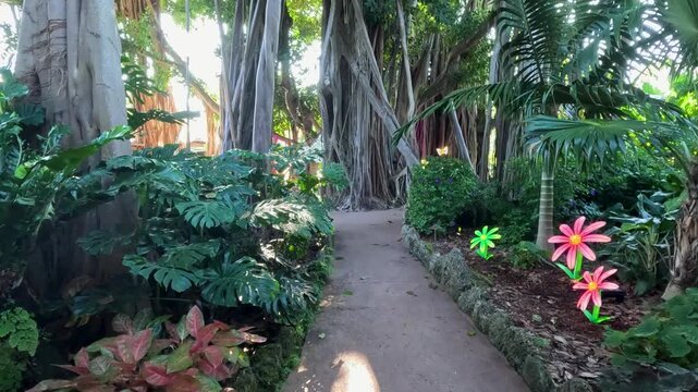 Footage of a gorgeous landscape at Pinecrest Gardens in Pinecrest  Florida USA
