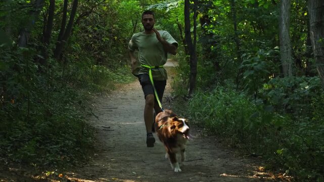 A man runs along a narrow forest path with his Australian Shepherd dog pulling ahead on a canicross belt. The concept highlights teamwork, speed, and energetic outdoor movement with pet