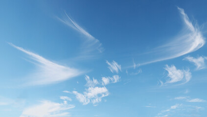 Natural sky beautiful blue and white heaven texture background. blue sky with cloud. White cumulus clouds formation in blue cloudy sky