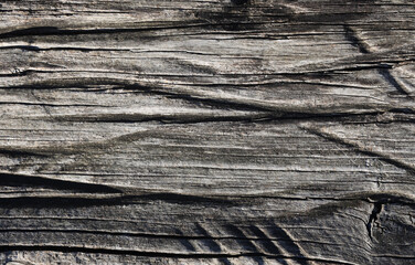 Rustic weathered gray grey whole seamless wood texture in vintage old retro aged texture pattern cracked line style Black and white