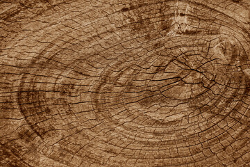 Rustic weathered brown red whole seamless wood texture in vintage old retro aged texture  cracked line style Black and white Concentric round Circle pattern