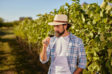 A man with a hat and beard savors a glass of wine while surrounded by lush grapevines in a vineyard. He is focused on the quality of the wine produced by his family business.