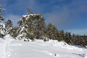 Winter Landscape of Vitosha Mountain, Bulgaria