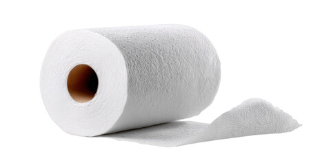 Fototapeta premium Roll of White Toilet Paper with Exposed Sheet