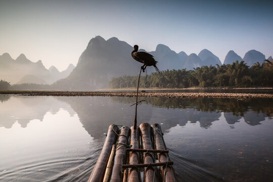 Bamboo raft with cormorant on the water, Li river, China