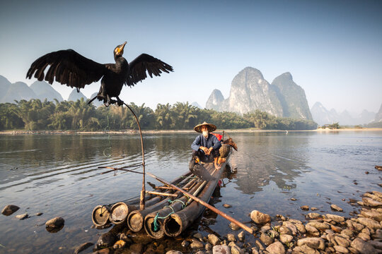 Fisherman with cormorant on the Li river, near Guilin, China