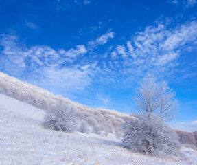 mount slope with forest covered by a snow under blue cloudy sky