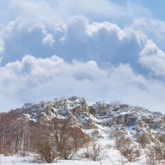 mountain valley with snowbound  forest in dense mist and clouds