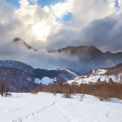 winter snowbound fir tree forest  under dense clouds and sparkle sun