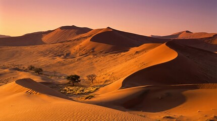 Golden sand dunes at sunset, Namib desert.