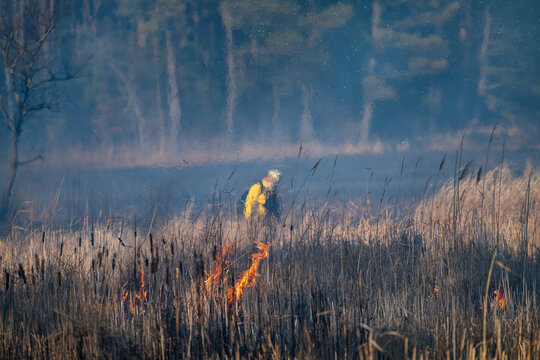 Controlled Burn