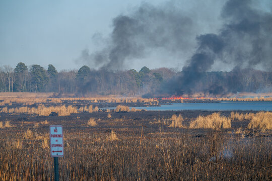 Controlled Burn