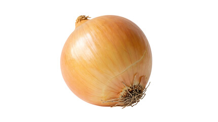 A Whole Yellow Onion With Roots And Stem Showing On A White Background Isolated