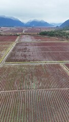 British Columbia Fields