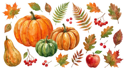 Watercolor autumn harvest elements collection pumpkins, colorful leaves, and seasonal berries