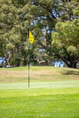 Obraz premium Golf flag