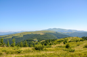 Obraz premium Bright hilltop trail winds across green meadows under a clear blue sky. Rolling hills, distant mountains, and lush trees create a peaceful, expansive landscape. Carpathian Mountains, Ukraine