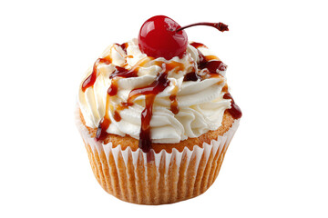 Cherry Topped Cupcake with Whipped Cream
