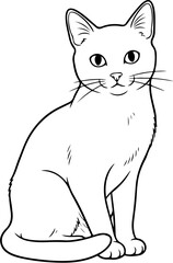 Obraz premium A white cat sitting and looking forward.