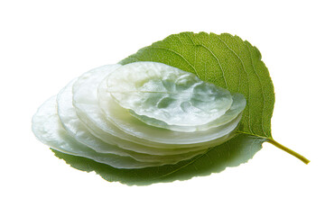 Sliced Daikon on Green Leaf