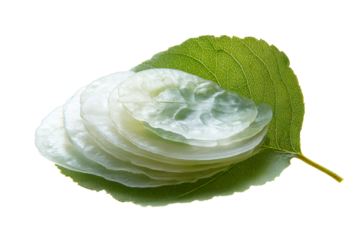 Sliced Daikon on Green Leaf