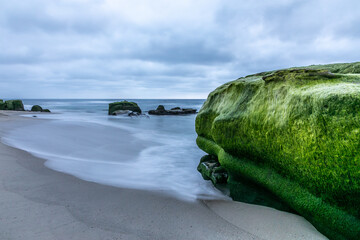Beautiful moss covered cliff sits among the Pacific Ocean tide rolling on shore in La Jolla California on a cloudy winter day