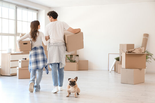 Young couple with cardboard boxes and French bulldog in rented apartment on moving day, back view