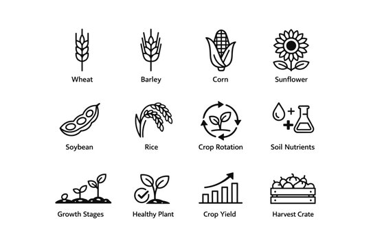 Agricultural icons: wheat, barley, corn, sunflower, and more farming symbols