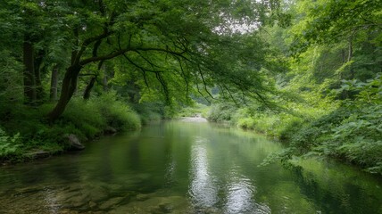 Obraz premium Peaceful Forest River With Lush Green Trees And Calm Water Creating Natural Serene Landscape