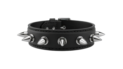 Black Leather Spiked Choker